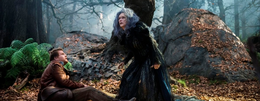 Чем дальше в лес